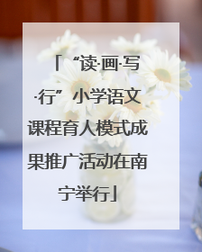 “读·画·写·行”小学语文课程育人模式成果推广活动在南宁举行