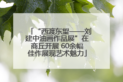 “西渡东望——刘建中油画作品展”在商丘开展 60余幅佳作展现艺术魅力