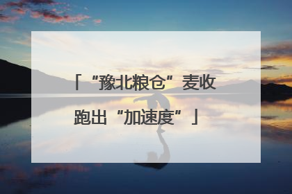 “豫北粮仓”麦收跑出“加速度”