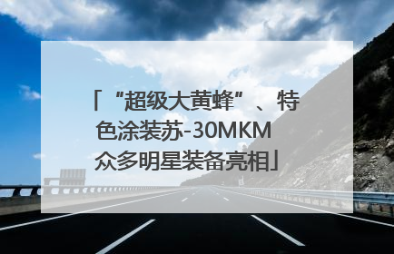 “超级大黄蜂”、特色涂装苏-30MKM 众多明星装备亮相