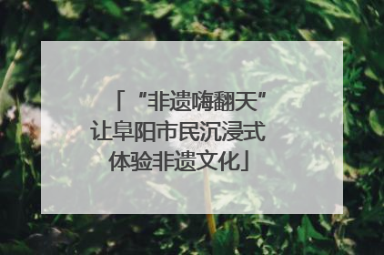 “非遗嗨翻天”让阜阳市民沉浸式体验非遗文化