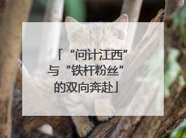 “问计江西”与“铁杆粉丝”的双向奔赴