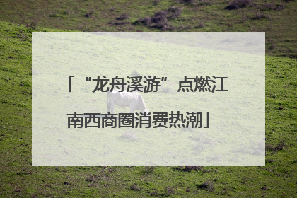 “龙舟溪游”点燃江南西商圈消费热潮