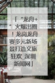“龙舟+”火爆出圈！龙岗龙舟赛多元新场景打造文旅狂欢_深圳新闻网