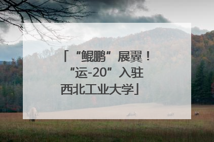 “鲲鹏”展翼！“运-20”入驻西北工业大学
