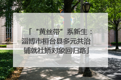 “黄丝带”系新生：淄博市桓台县多元共治铺就社矫对象回归路