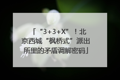 “3+3+X”！北京西城“枫桥式”派出所里的矛盾调解密码