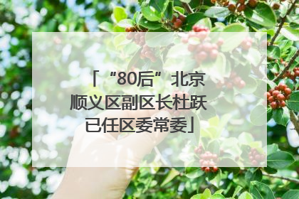 “80后”北京顺义区副区长杜跃已任区委常委