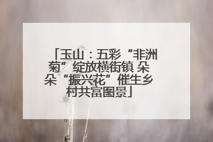 玉山：五彩“非洲菊”绽放横街镇 朵朵“振兴花”催生乡村共富图景