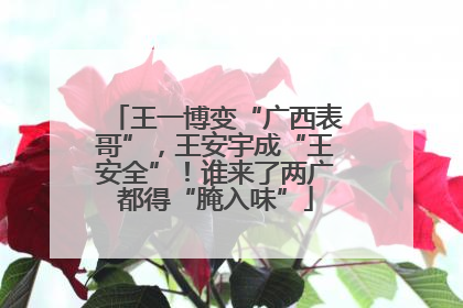 王一博变“广西表哥”，王安宇成“王安全”！谁来了两广都得“腌入味”