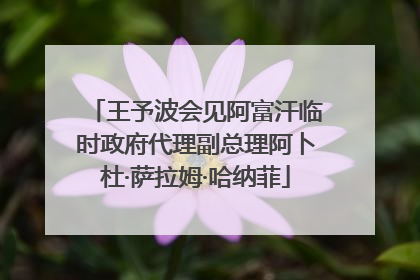 王予波会见阿富汗临时政府代理副总理阿卜杜·萨拉姆·哈纳菲
