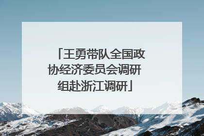 王勇带队全国政协经济委员会调研组赴浙江调研
