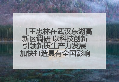 王忠林在武汉东湖高新区调研 以科技创新引领新质生产力发展 加快打造具有全国影响力的科技创新高地