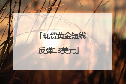 现货黄金短线反弹13美元