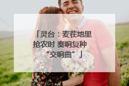 灵台：麦茬地里抢农时 奏响复种“交响曲”