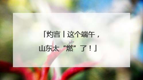 灼言丨这个端午，山东太“燃”了！