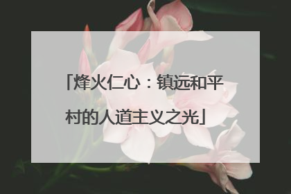 烽火仁心：镇远和平村的人道主义之光