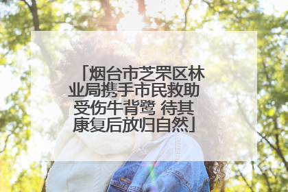 烟台市芝罘区林业局携手市民救助受伤牛背鹭 待其康复后放归自然