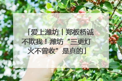爱上潍坊丨郑板桥诚不欺我！潍坊“三更灯火不曾收”是真的