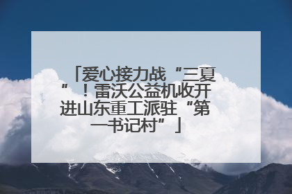 爱心接力战“三夏”！雷沃公益机收开进山东重工派驻“第一书记村”