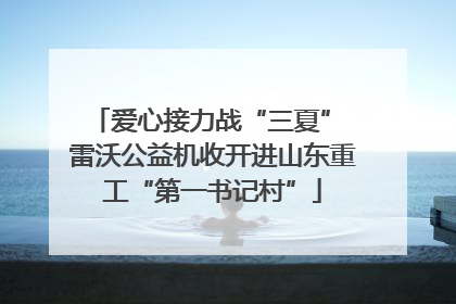 爱心接力战“三夏” 雷沃公益机收开进山东重工“第一书记村”