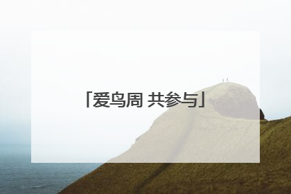 爱鸟周 共参与