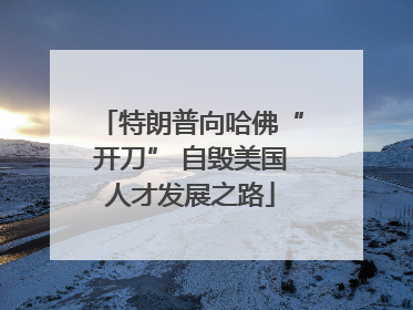 特朗普向哈佛“开刀” 自毁美国人才发展之路