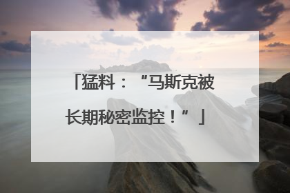 猛料：“马斯克被长期秘密监控！”
