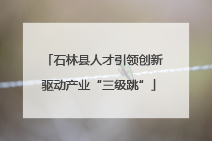 石林县人才引领创新驱动产业“三级跳”