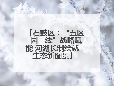 石鼓区：“五区一园一线”战略赋能 河湖长制绘就生态新图景
