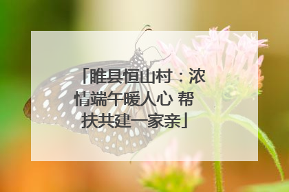 睢县恒山村：浓情端午暖人心 帮扶共建一家亲