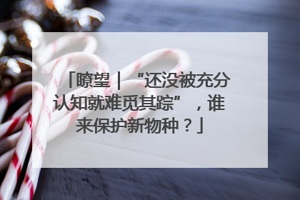 瞭望｜“还没被充分认知就难觅其踪”，谁来保护新物种？