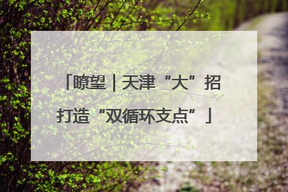 瞭望｜天津“大”招打造“双循环支点”