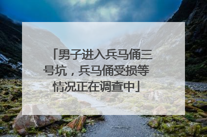 男子进入兵马俑三号坑，兵马俑受损等情况正在调查中