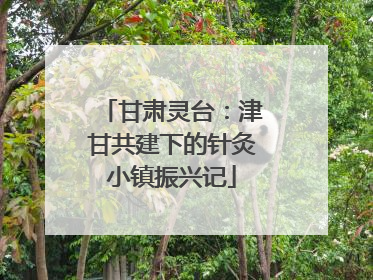 甘肃灵台：津甘共建下的针灸小镇振兴记