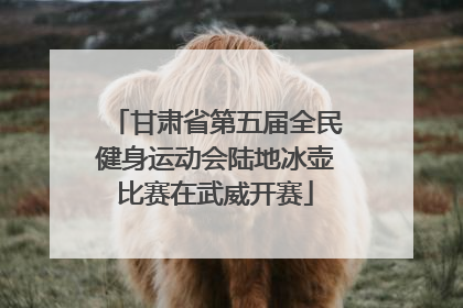 甘肃省第五届全民健身运动会陆地冰壶比赛在武威开赛