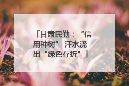 甘肃民勤：“信用种树” 汗水浇出“绿色存折”