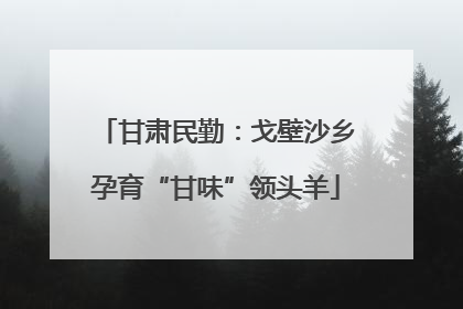 甘肃民勤：戈壁沙乡孕育“甘味”领头羊