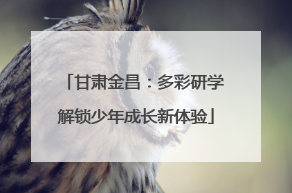 甘肃金昌：多彩研学解锁少年成长新体验