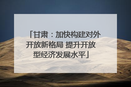 甘肃：加快构建对外开放新格局 提升开放型经济发展水平