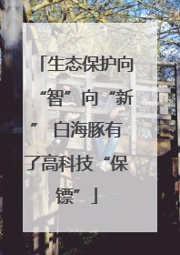 生态保护向“智”向“新” 白海豚有了高科技“保镖”