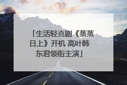 生活轻喜剧《蒸蒸日上》开机 高叶韩东君领衔主演