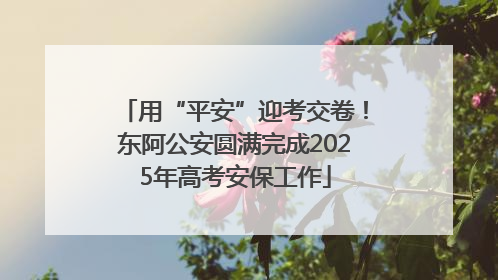 用“平安”迎考交卷！东阿公安圆满完成2025年高考安保工作