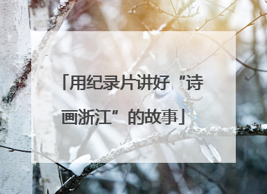 用纪录片讲好“诗画浙江”的故事