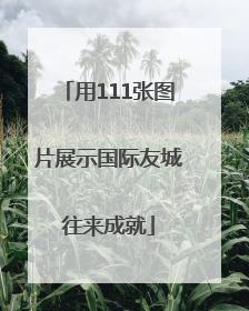 用111张图片展示国际友城往来成就