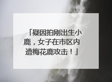 疑因拍刚出生小鹿，女子在市区内遭梅花鹿攻击！