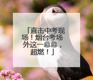 直击中考现场！烟台考场外这一幕幕，超燃！