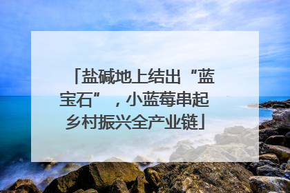 盐碱地上结出“蓝宝石”，小蓝莓串起乡村振兴全产业链