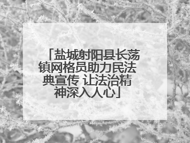 盐城射阳县长荡镇网格员助力民法典宣传 让法治精神深入人心