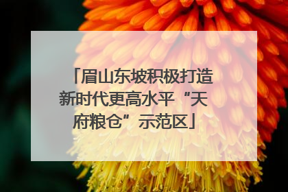 眉山东坡积极打造新时代更高水平“天府粮仓”示范区